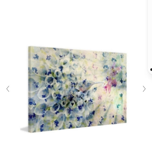 Parvez Taj hummingbird canvas - Picture 5 of 8